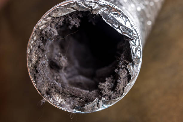 Best Professional Duct Cleaning Services  in Pickerington, OH